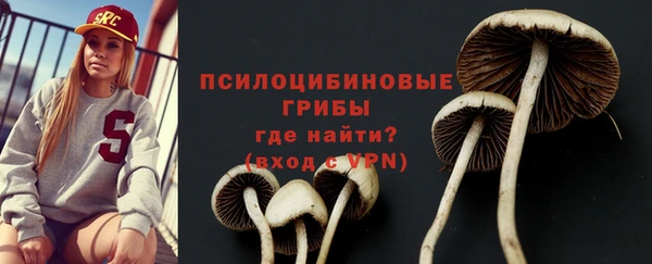 стафф Балабаново